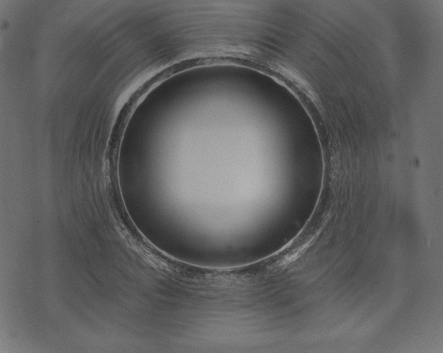 X0000074010928200608211418