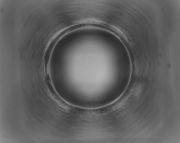 X0000074010931200608211418