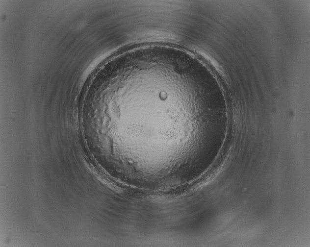 X0000074010933200608211418