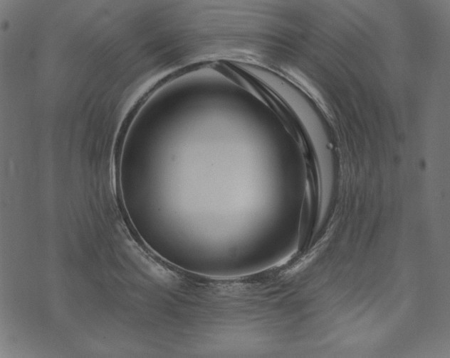 X0000074010940200608211418