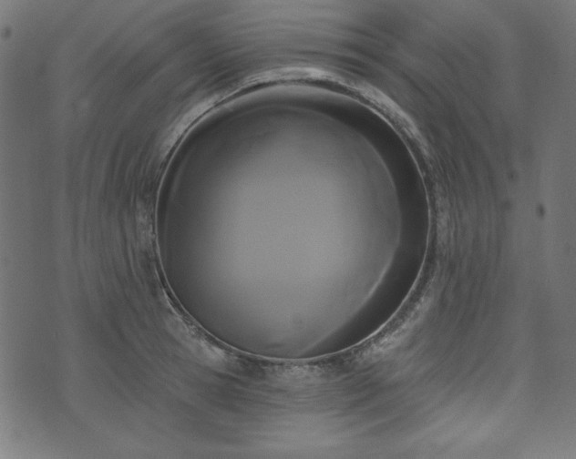 X0000074010945200608211418