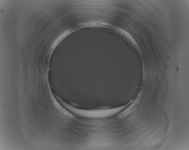 X0000074010946200608211418