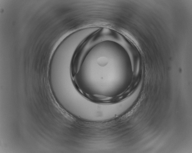 X0000074010948200608211418