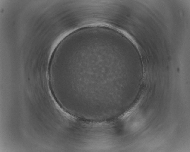 X0000074010951200608211418