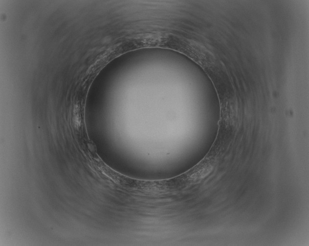 X0000074010962200608211418