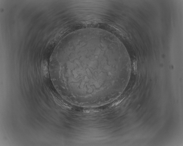 X0000074010963200608211418