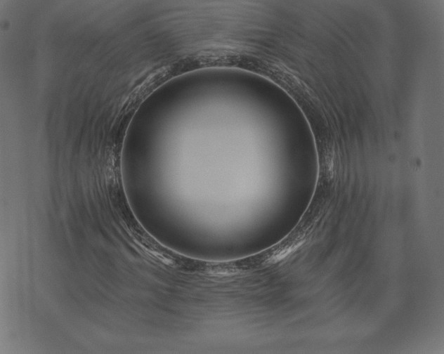 X0000074010964200608211418