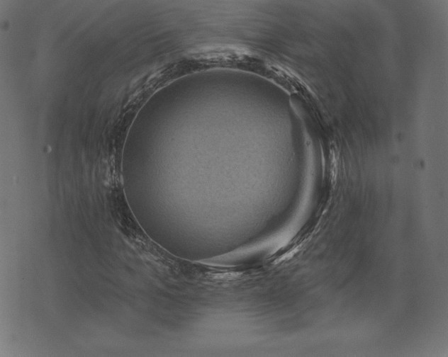 X0000074010965200608211418