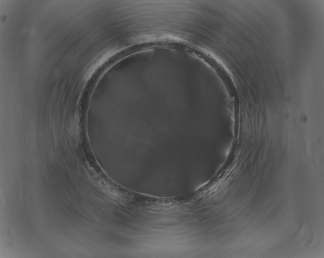X0000074010975200608211417