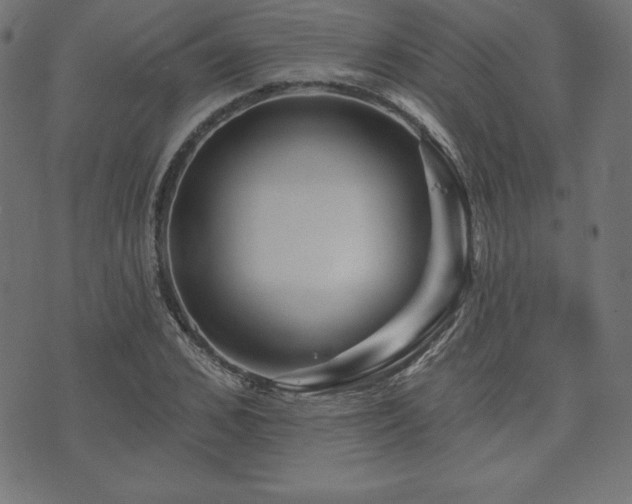 X0000074010976200608211417