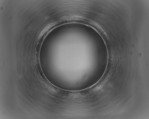 X0000074010978200608211417
