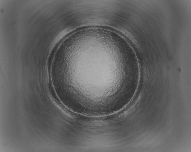 X0000074010982200608211417