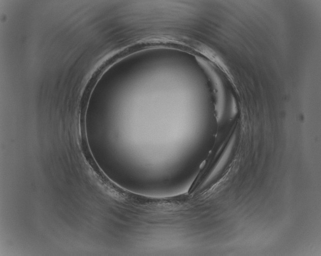 X0000074010984200608211417