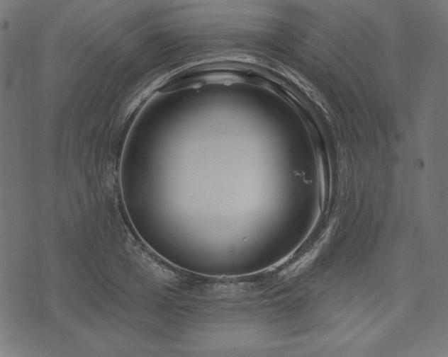 X0000074010985200608211417