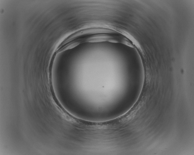 X0000074010996200608211417