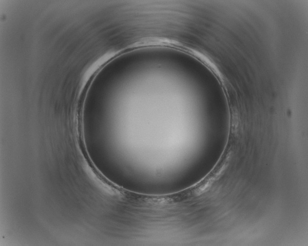 X0000074011003200608211417