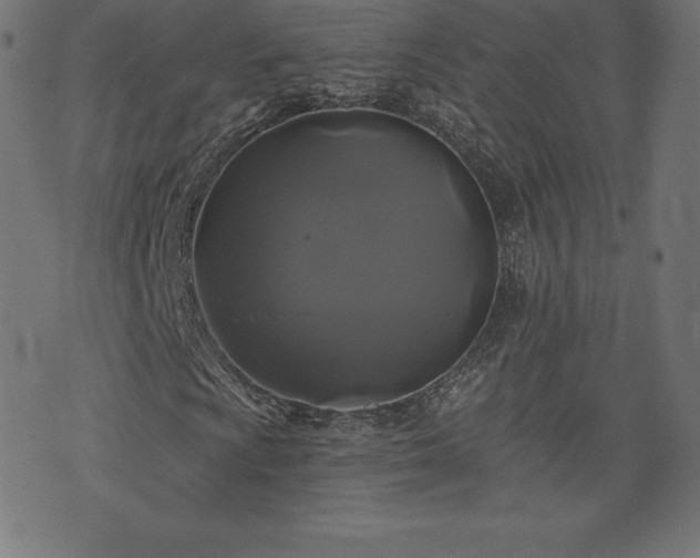 X0000074011009200608211416