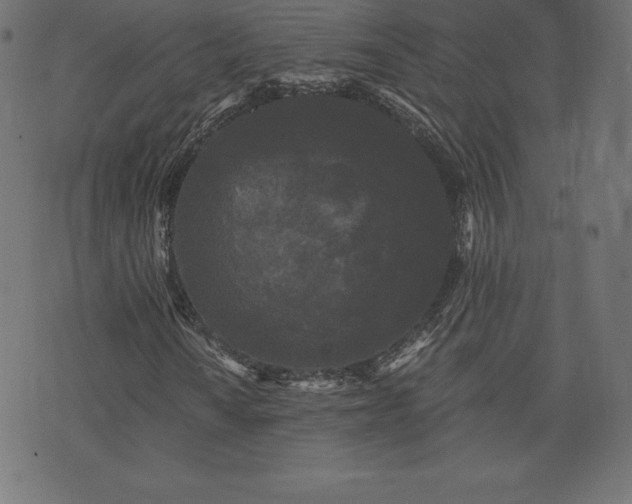 X0000074011010200608211416
