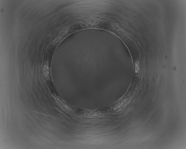 X0000074011011200608211416