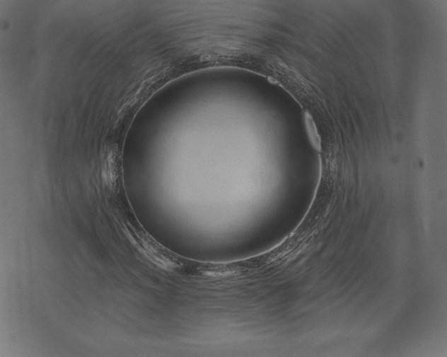 X0000074011012200608211416