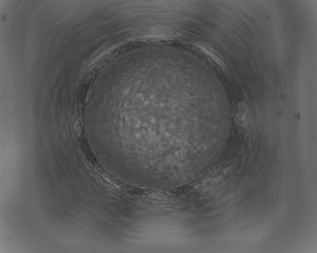 X0000074011015200608211416