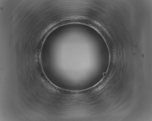 X0000074011017200608211416
