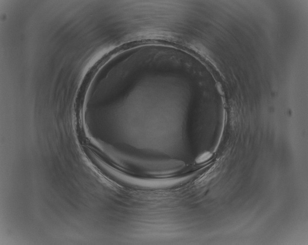 X0000074011024200608211416