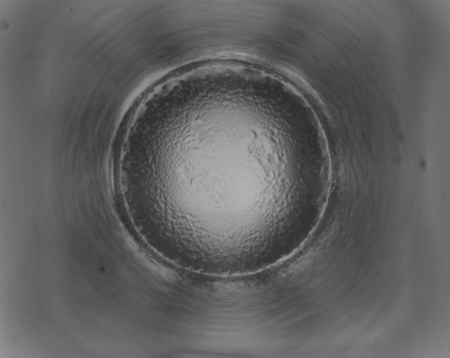 X0000074011032200608211416