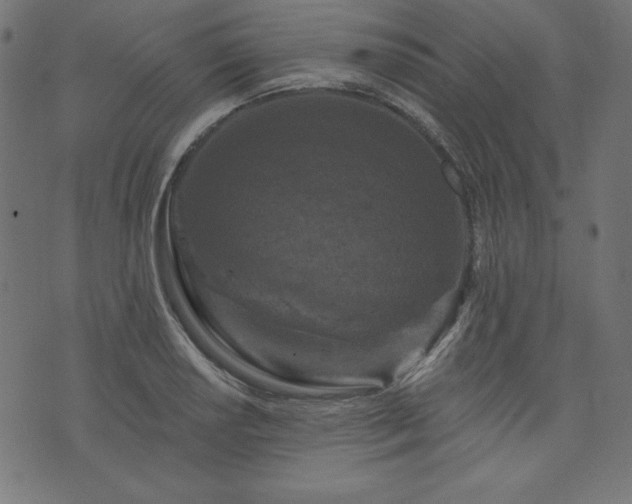 X0000074011034200608211417