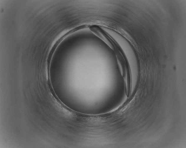 X0000074011036200608211417