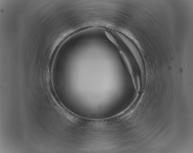 X0000074011040200608211417
