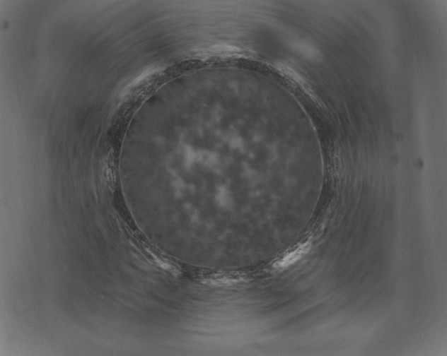 X0000074011063200608211416