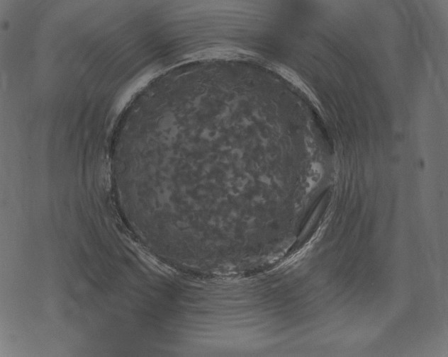 X0000074011067200608211416