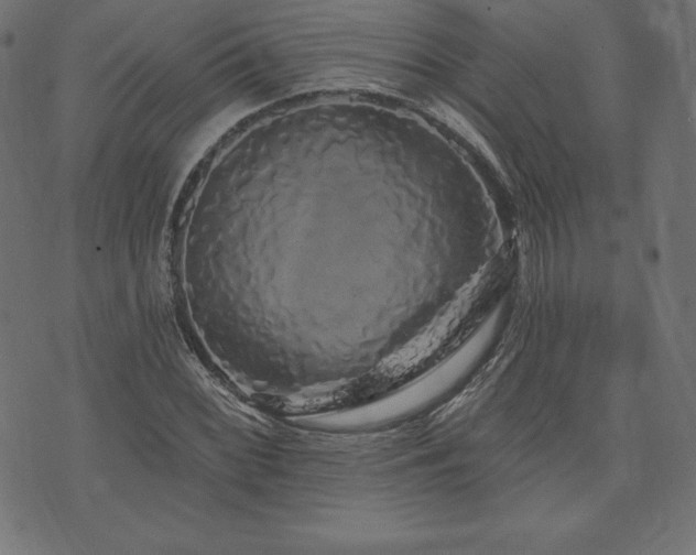 X0000074011068200608211416