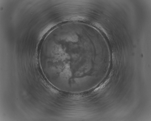 X0000074011071200608211416