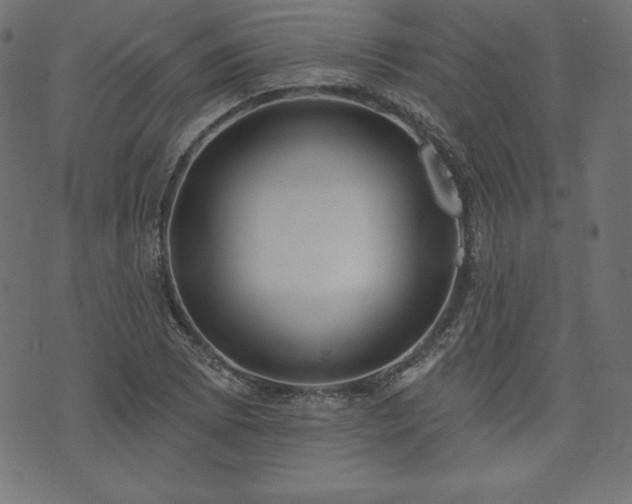 X0000074011073200608211416