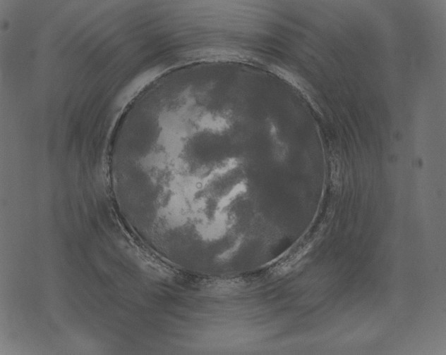X0000074011074200608211416