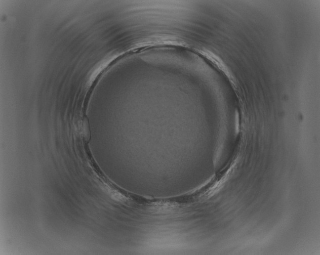 X0000074011081200608211416