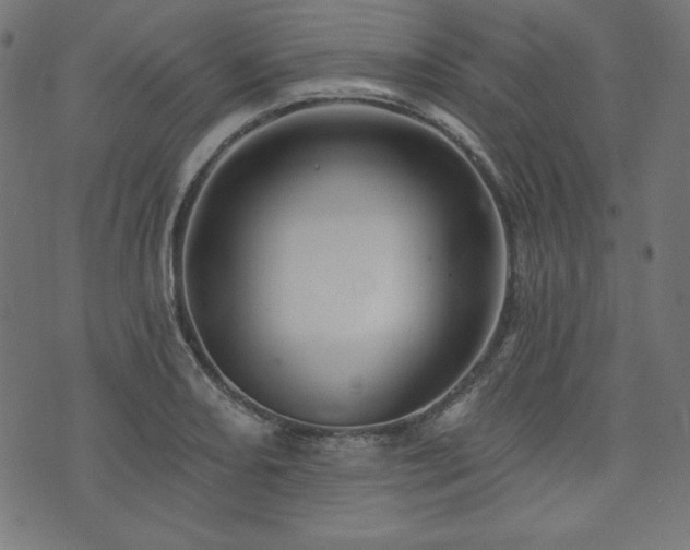 X0000074011082200608211416