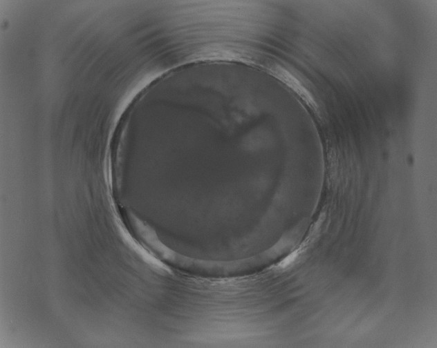 X0000074011084200608211416