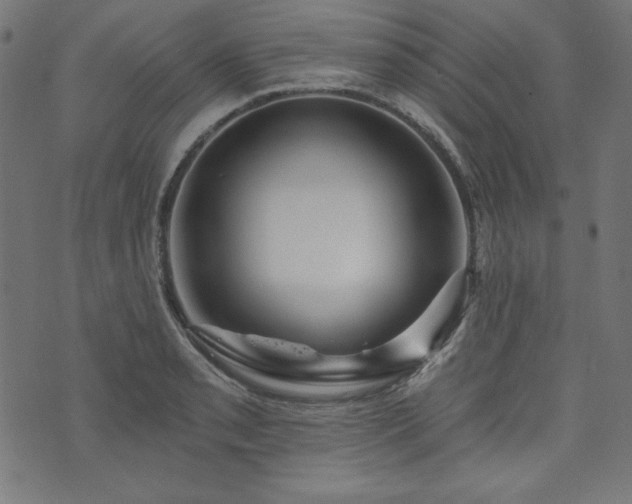 X0000074011085200608211416
