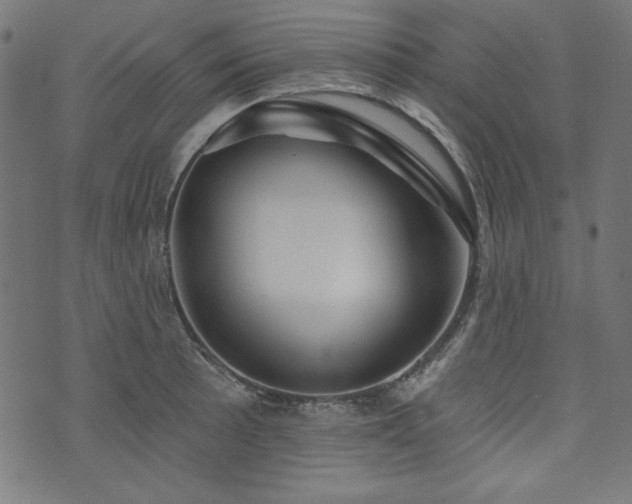 X0000074011089200608211416