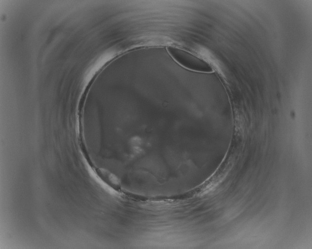 X0000074011095200608211415