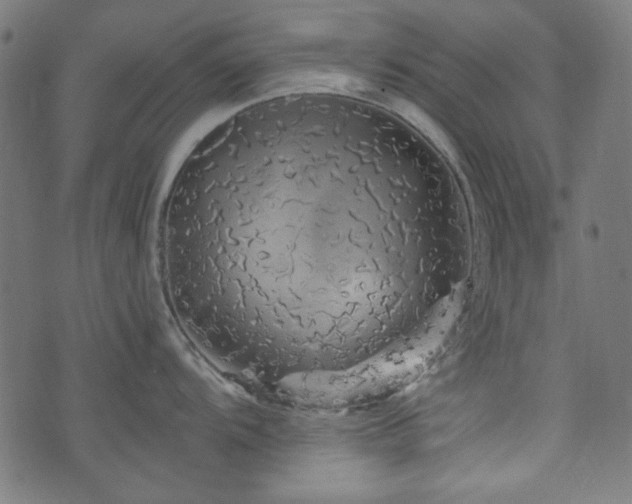 X0000074011104200608211415