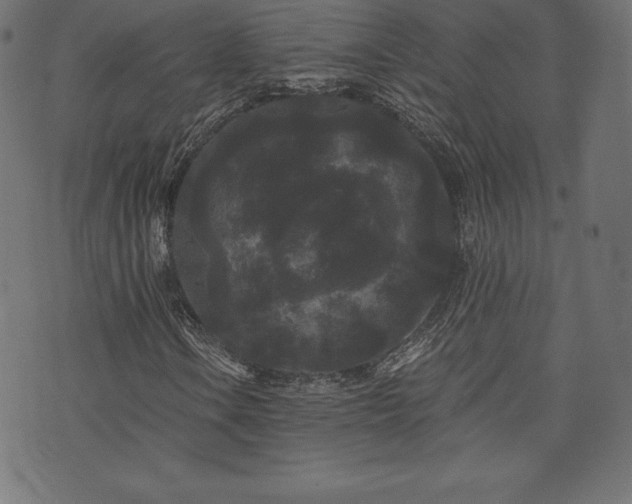 X0000074011106200608211415