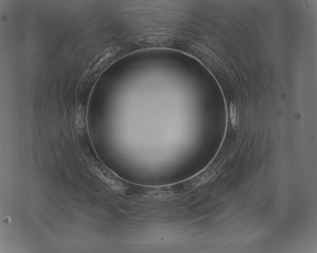 X0000074011107200608211415