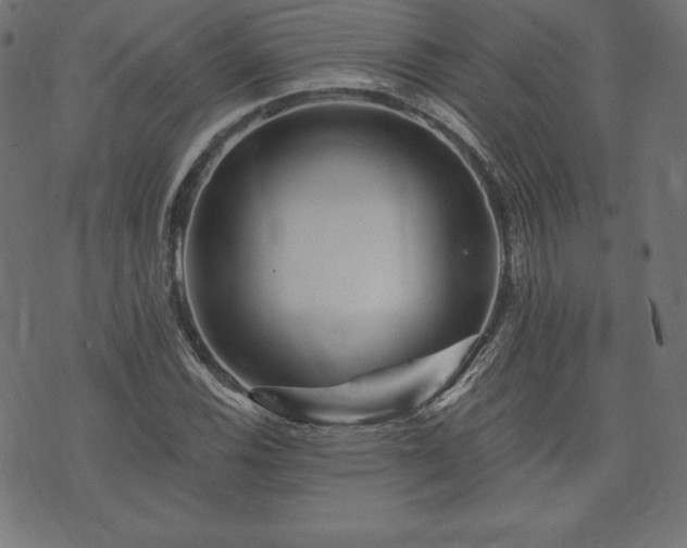 X0000074011116200608211415