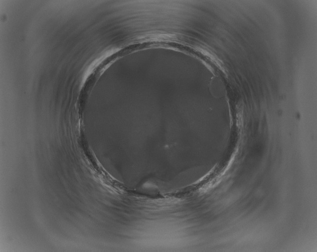 X0000074011117200608211415