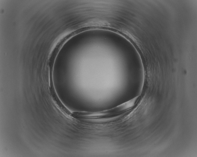 X0000074011123200608211415