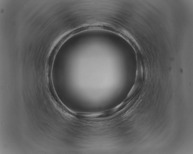X0000074011124200608211415